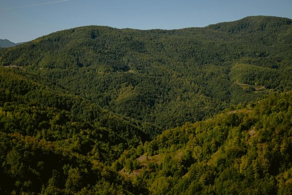 Astuces maison : 8 solutions rapides pour votre quotidien