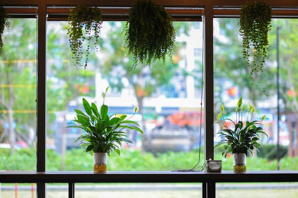 L'énergie renouvelable, solution pour limiter les gaz à effet de serre