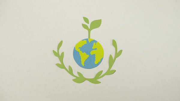 L'économie du cirque : un tour d'horizon