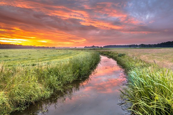 Explorez madrid avec votre guide francophone sofia robert